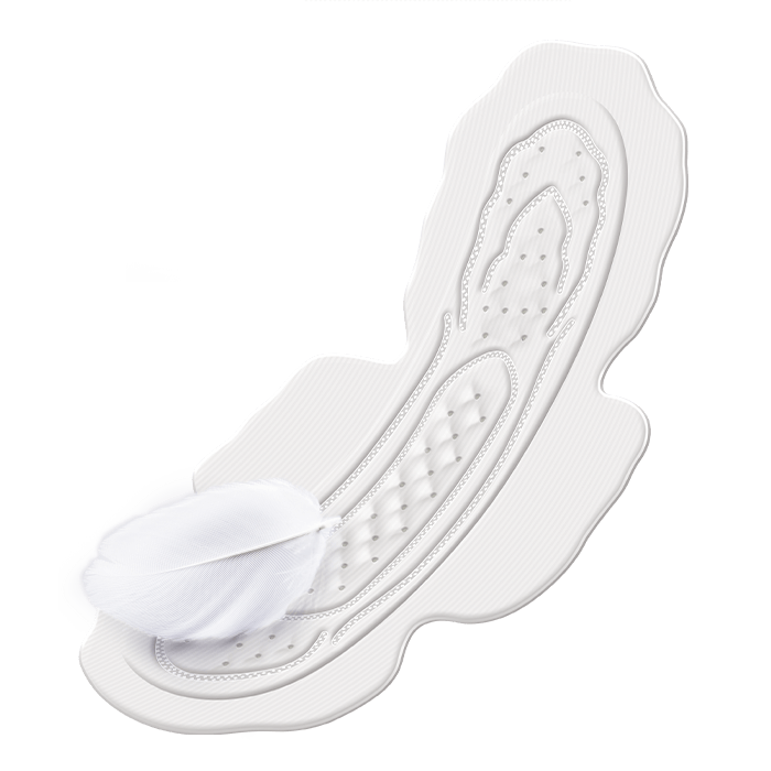 Sofy Bodyfit Extra Long 6 Pads for Leakage your Heavy Days - Sofy India