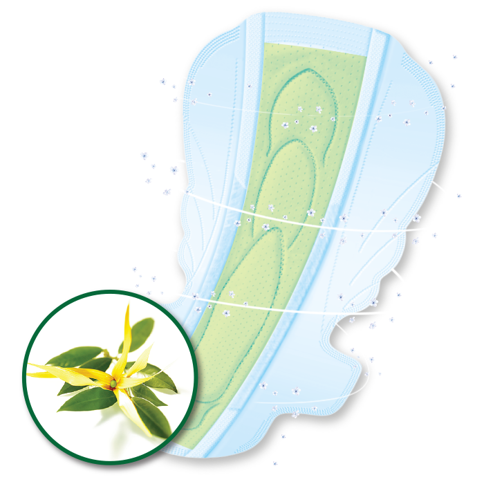 Perfume Tree Fragrance for Fresh and Confident Feeling
