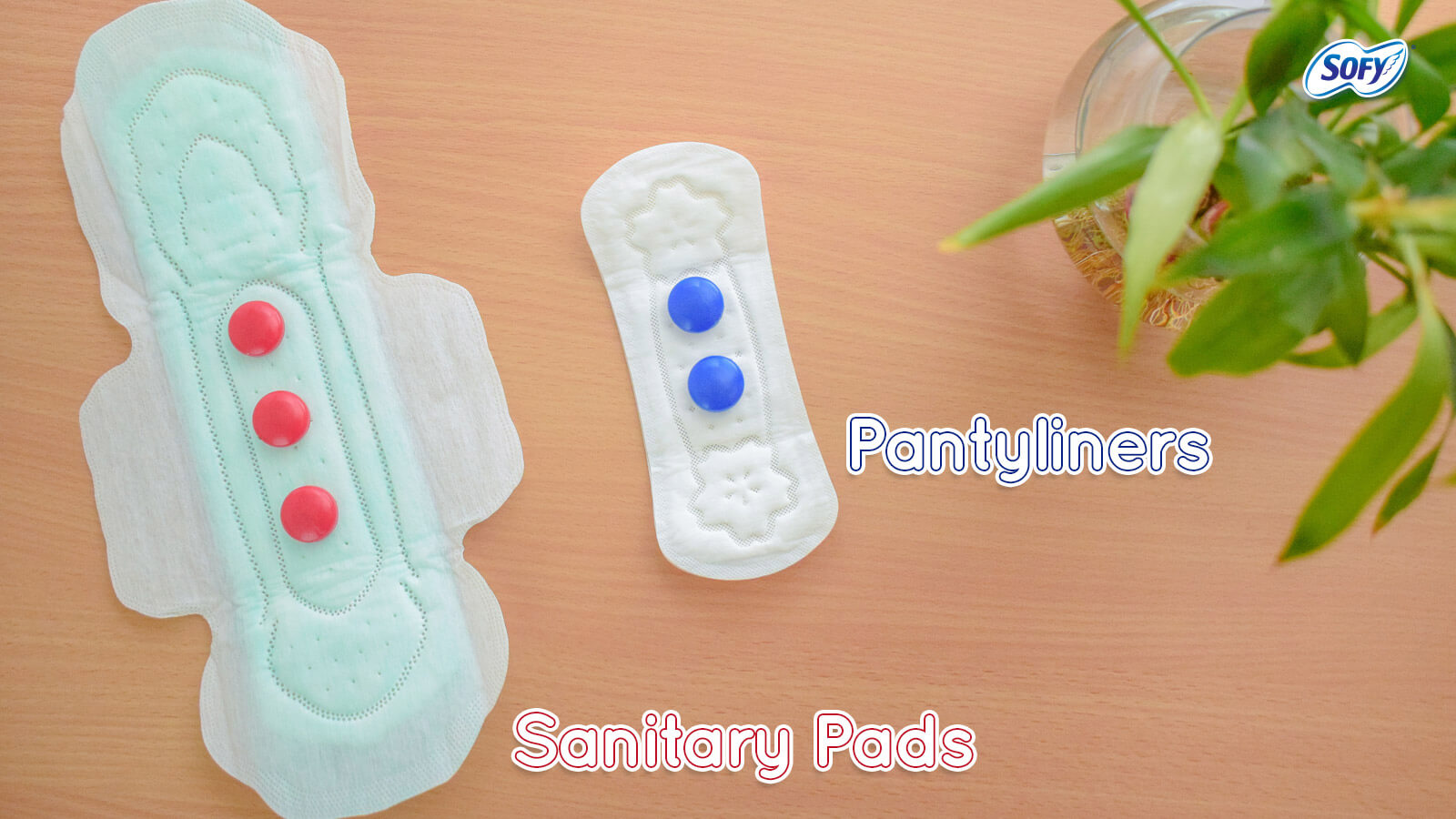 Difference between Panty Liners and Sanitary Napkins